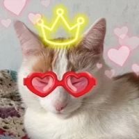 Kisaragi avatar