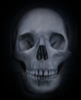 Bonemachine avatar