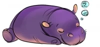 Hippo