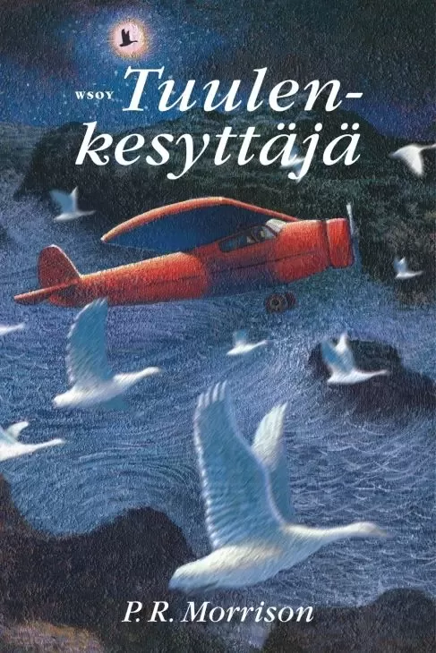 Tuulenkesyttäjä (Archie Stringweed #1) - P. R. Morrison