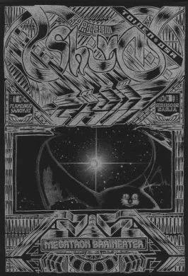 Kapteeni Shiva: Osa 2: Chi (Kapteeni Shiva #2) - Megatron Braineater