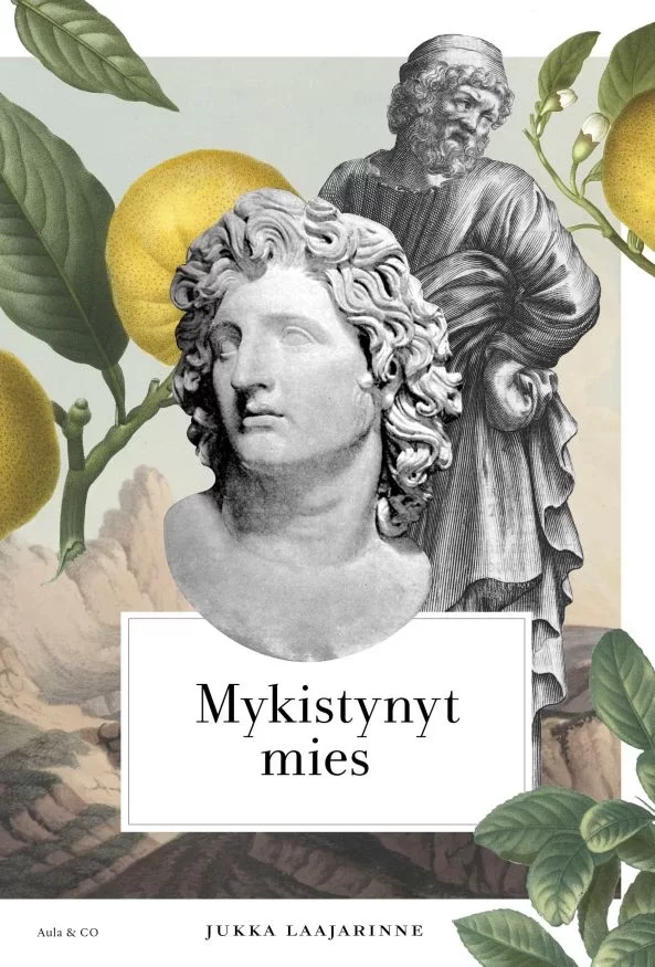 Mykistynyt mies - Jukka Laajarinne