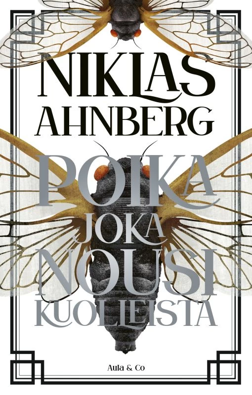 Poika joka nousi kuolleista (Daniel Dark -trilogia #3) - Niklas Ahnberg