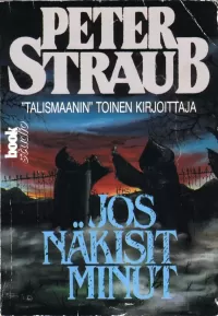 Jos näkisit minut