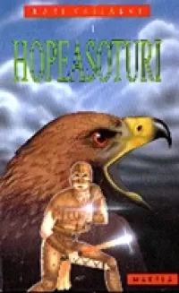 Hopeasoturi
