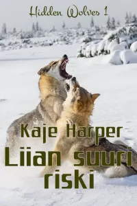 Liian suuri riski
