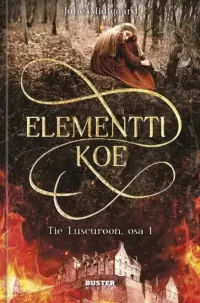 Elementtikoe